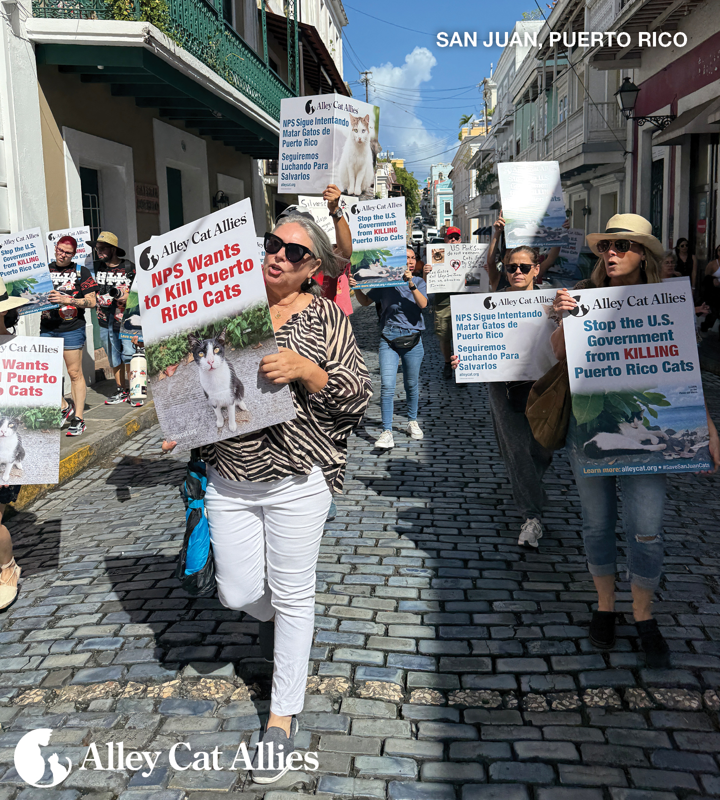 From The Field A Powerful Protest To Protect Puerto Rico S Cats