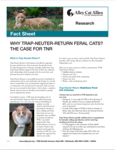 Why Trap-Neuter-Return Feral Cats And What Is TNR? | Alley Cat Allies