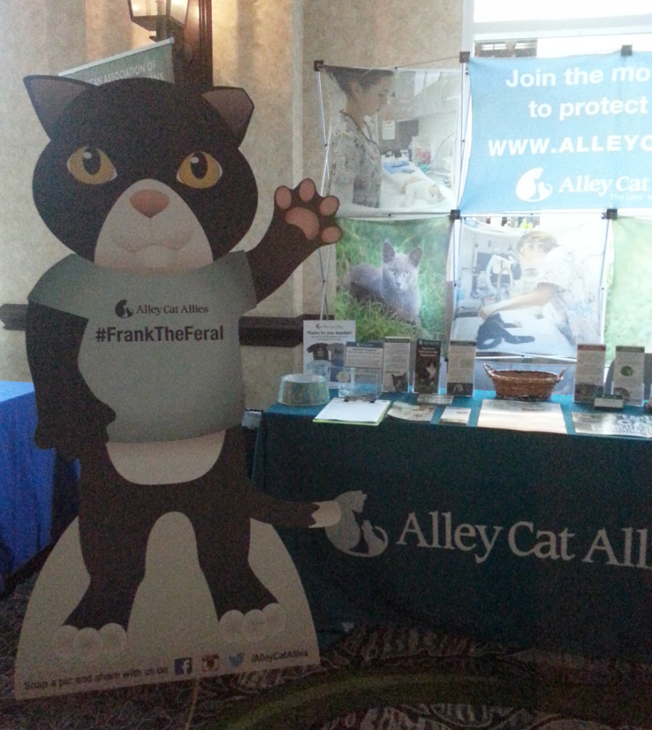 charity navigator alley cat allies