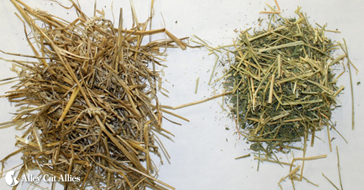 Straw for Feral Cat Houses Organic STRAW BALE Unicorn Shelters