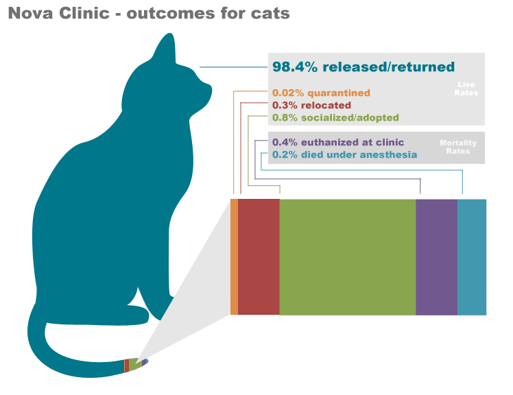 alley cat spay and neuter