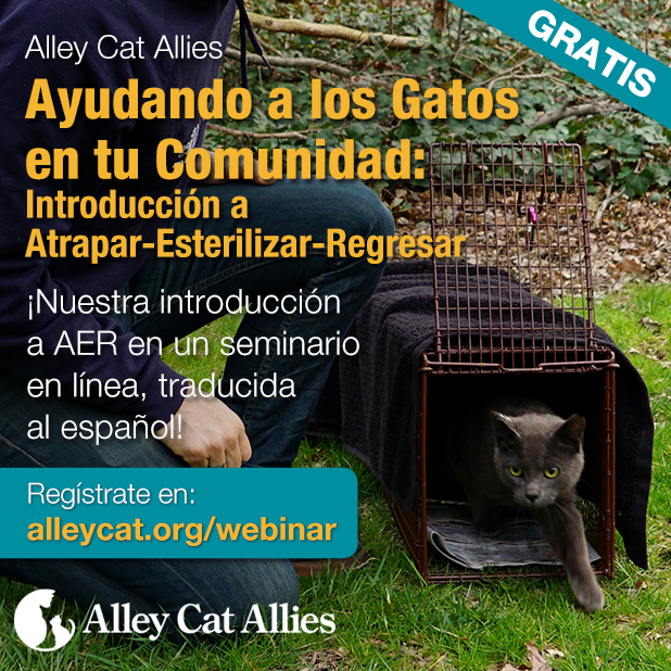 alley cat allies tnr