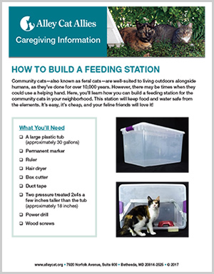 How to Make a Pet Feeding Station