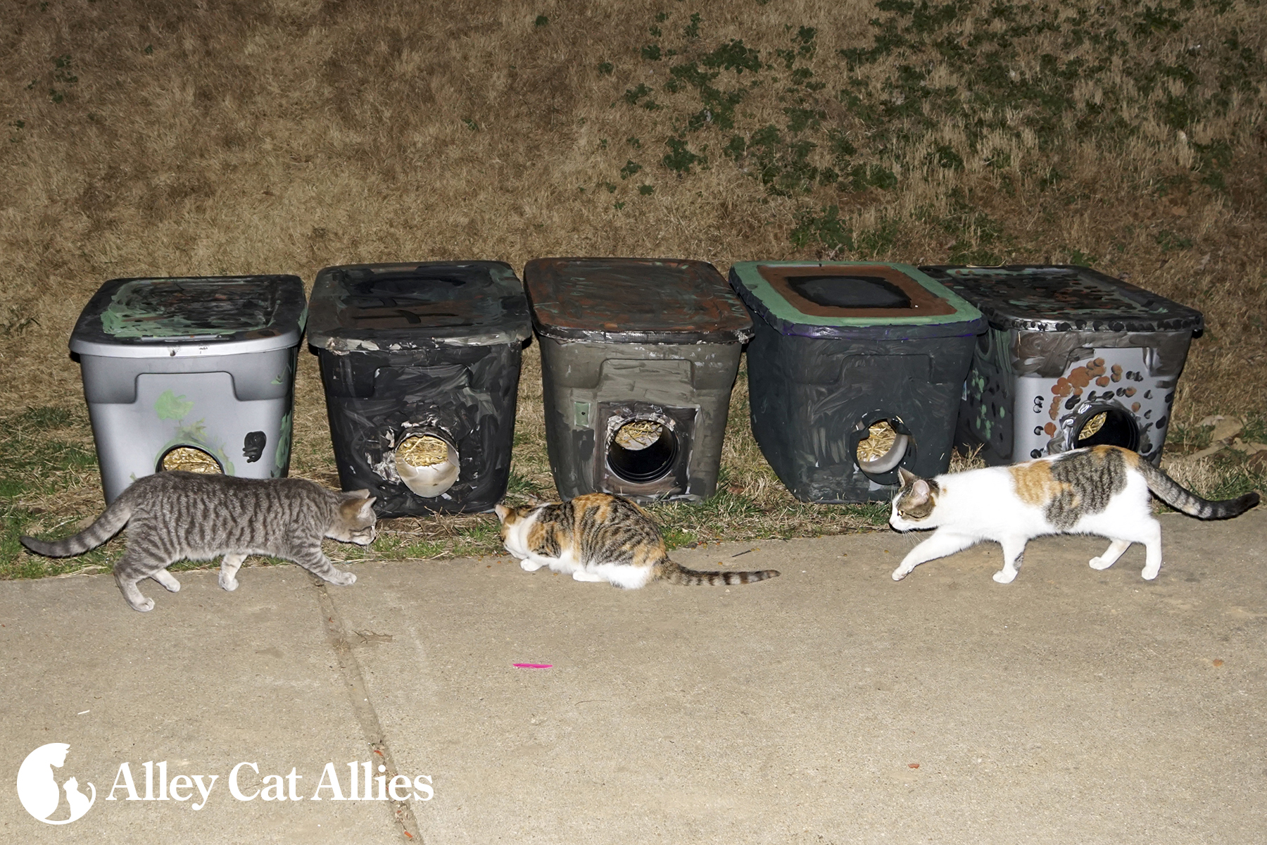 alley cat allies outdoor shelters