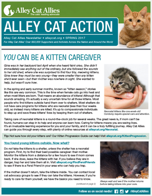 alley cat allies mission statement