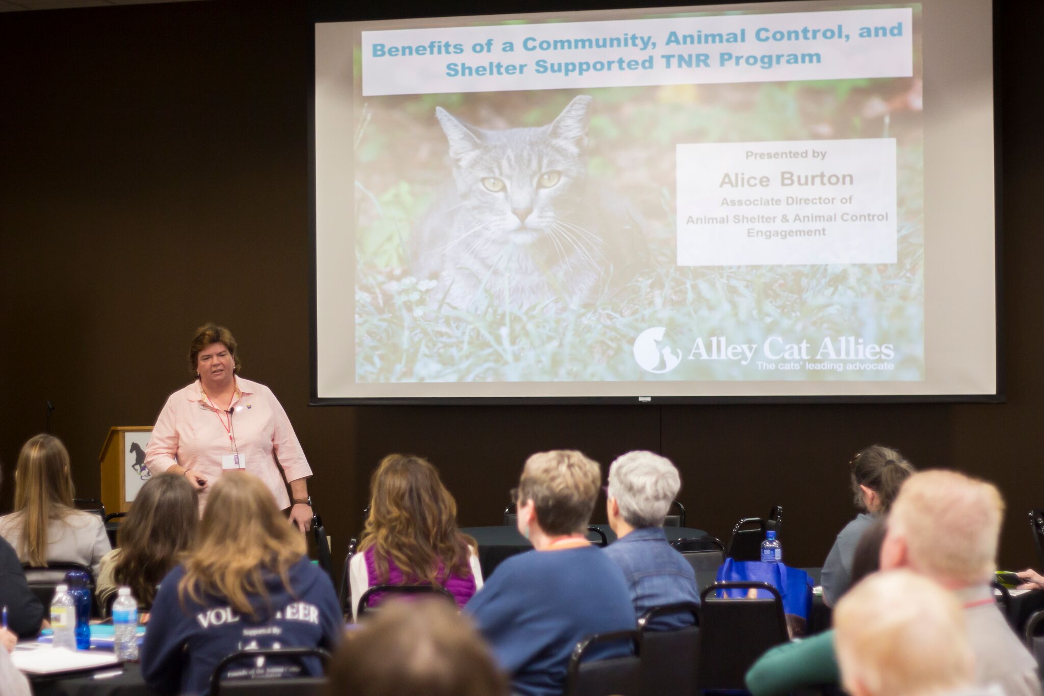 alley cat allies tnr