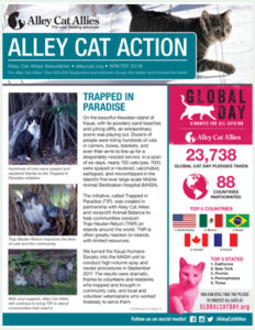 alley cat allies calendar