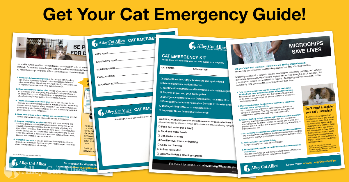 Get The Cat Emergency Guide Alley Cat Allies