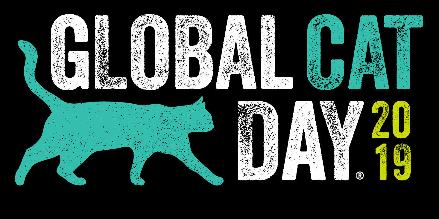 Six Things YOU Need to Know About Global Cat Day® Alley Cat Allies