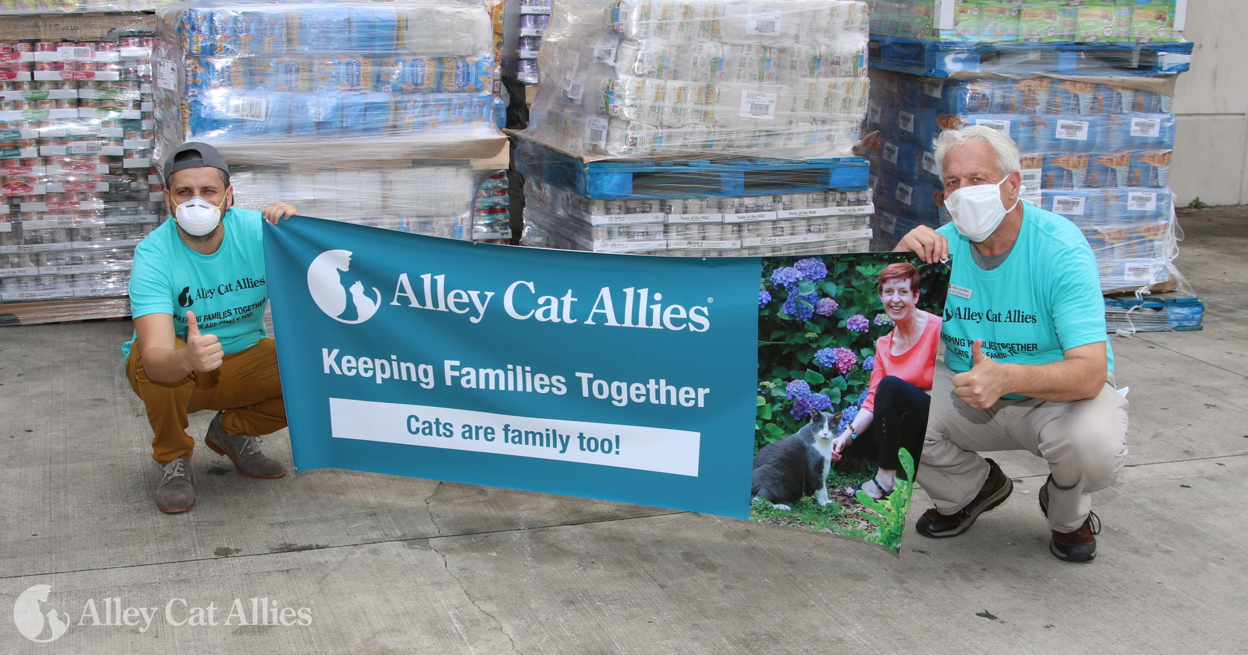 alley cat allies outdoor shelters