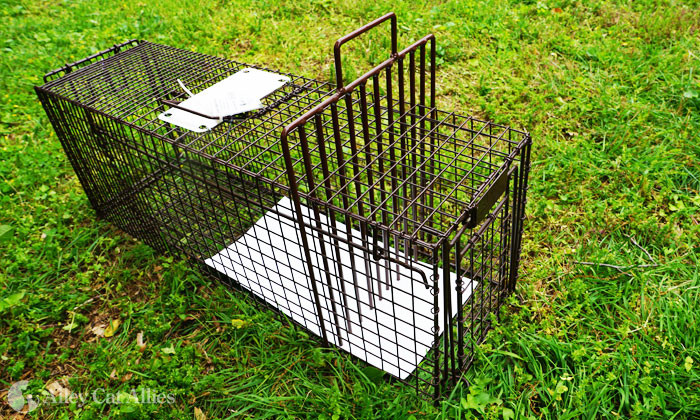 Traps And Humane Animal Equipment