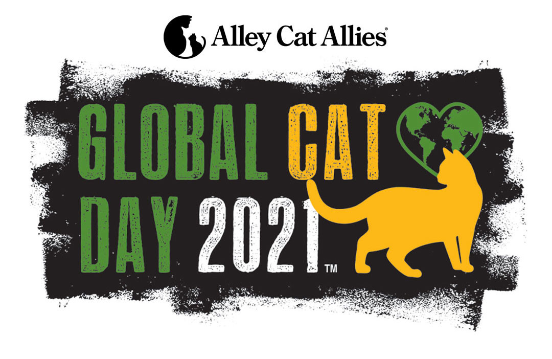 Global Cat Day is TODAYAre You Ready to Change the World for Cats