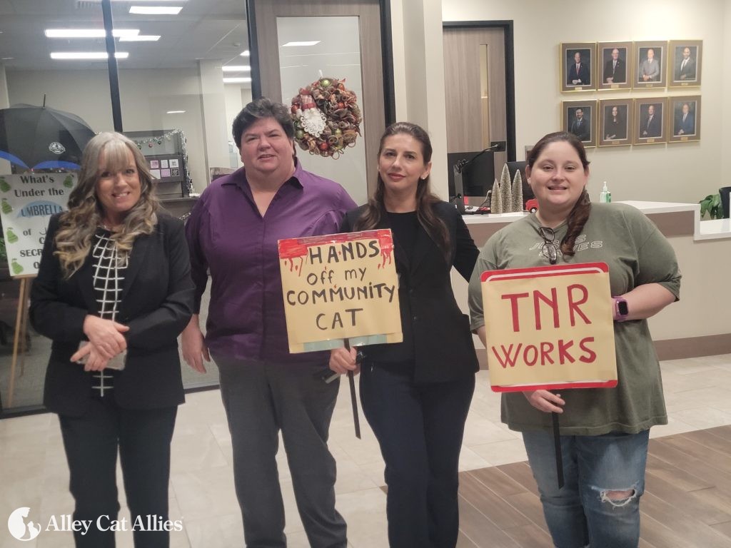 Alley Cat Allies Advocates For Cats And TNR At Pearland, TX, City ...