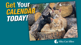 Get Your Calendar Today