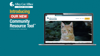  Access the Alley Cat Allies Community Resource Tool™ — NEW!